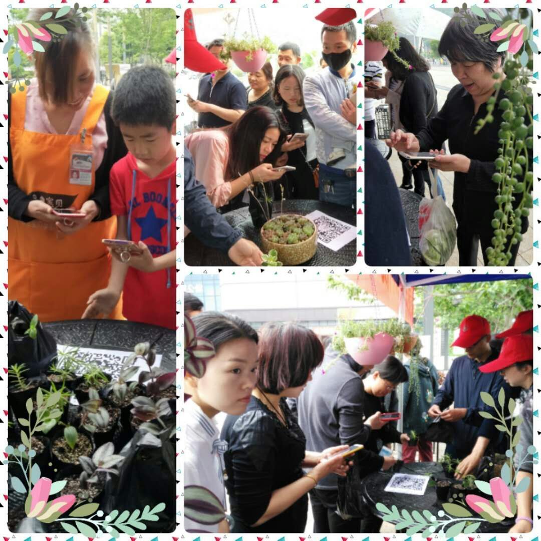 1526268928739974.jpg 4.jpg