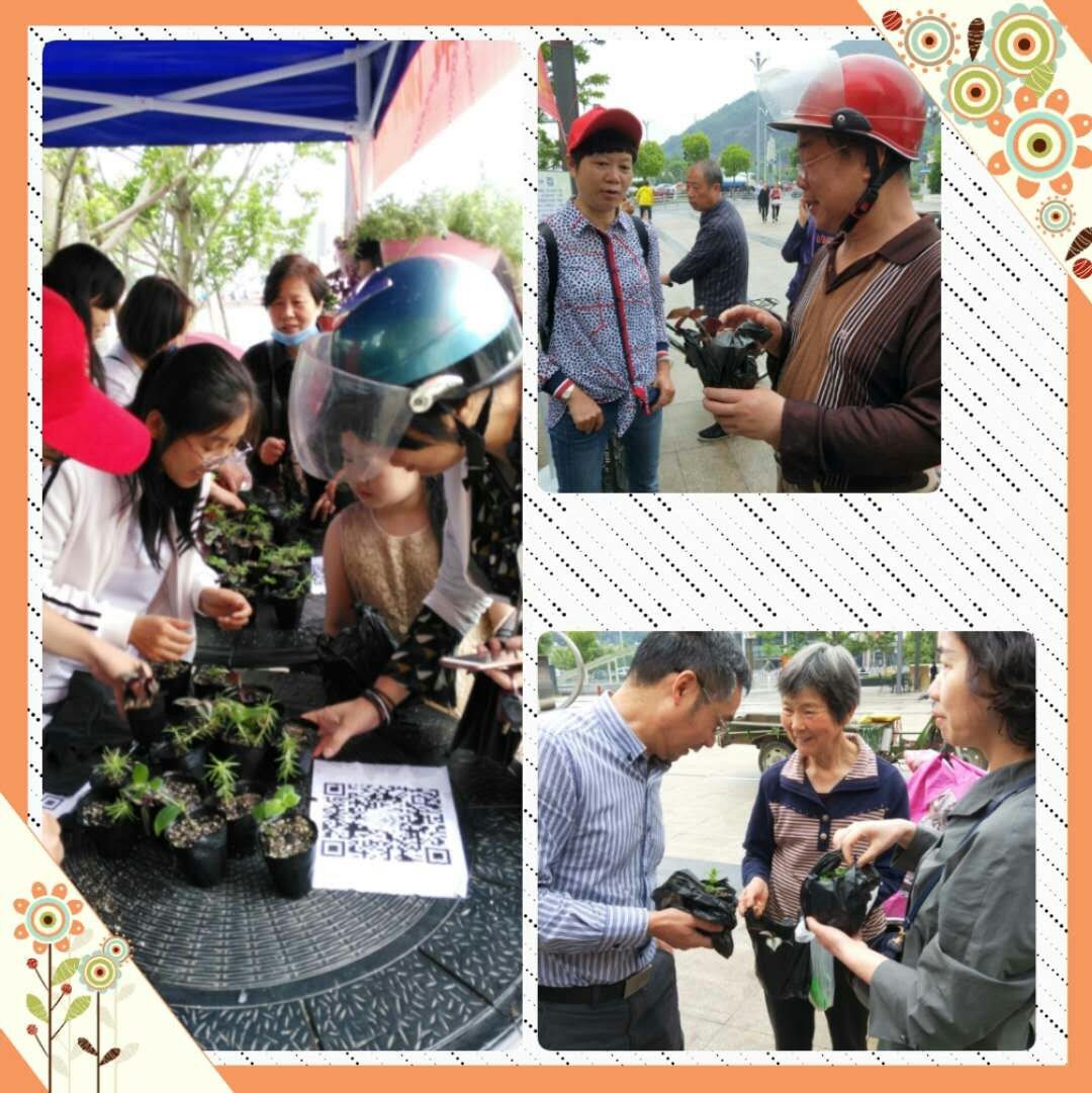 1526268978696684.jpg 5.jpg