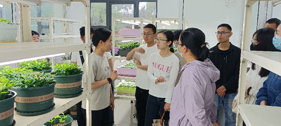 1684459078148401.png 1.png