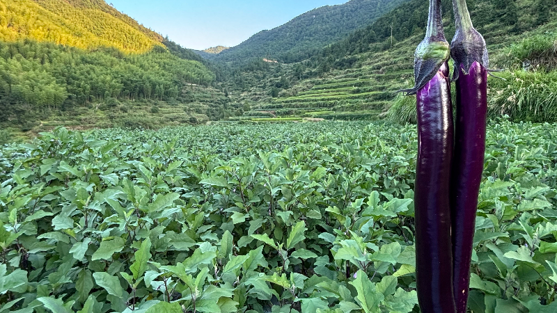 1757640249240488.png 图片1.png