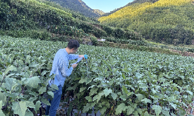 1757640496128957.png 图片5.png