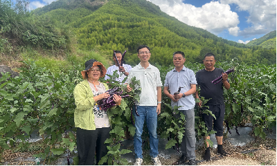 1757640502263534.png 图片6.png