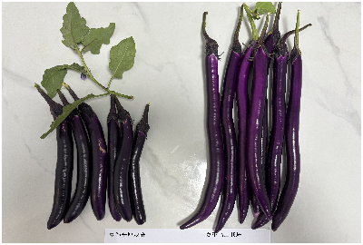 1757640598431667.png 图片7.png