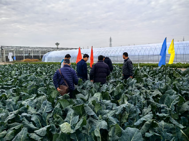 ��Ժ�໨����Ʒ�֡�̨��95�š�ͨ���ֳ�����